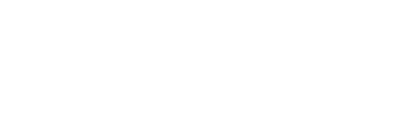 Partner organisation