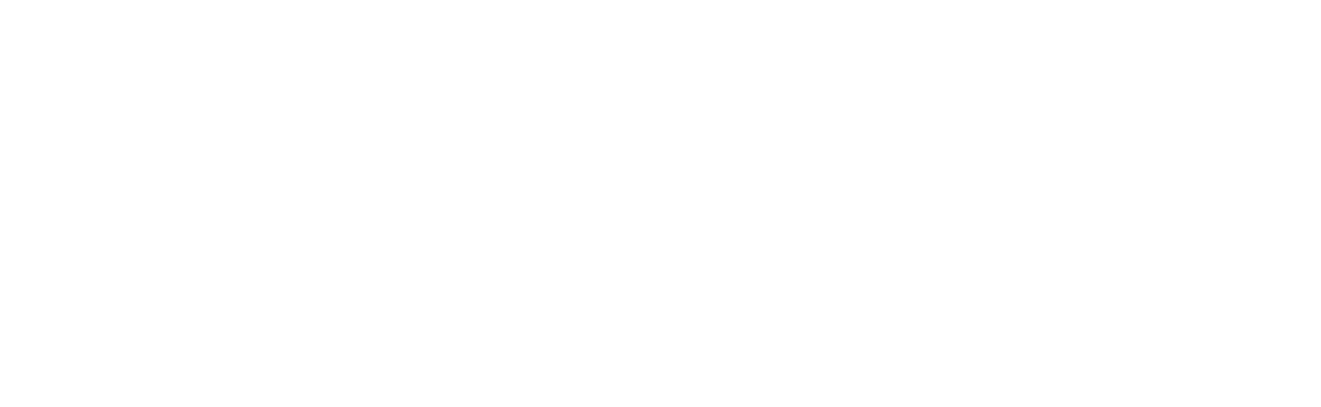 Partner organisation
